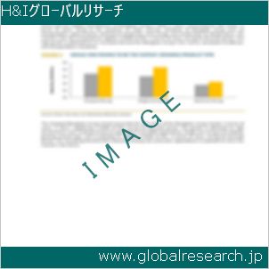 グローバルリサーチ調査レポートのイメージ